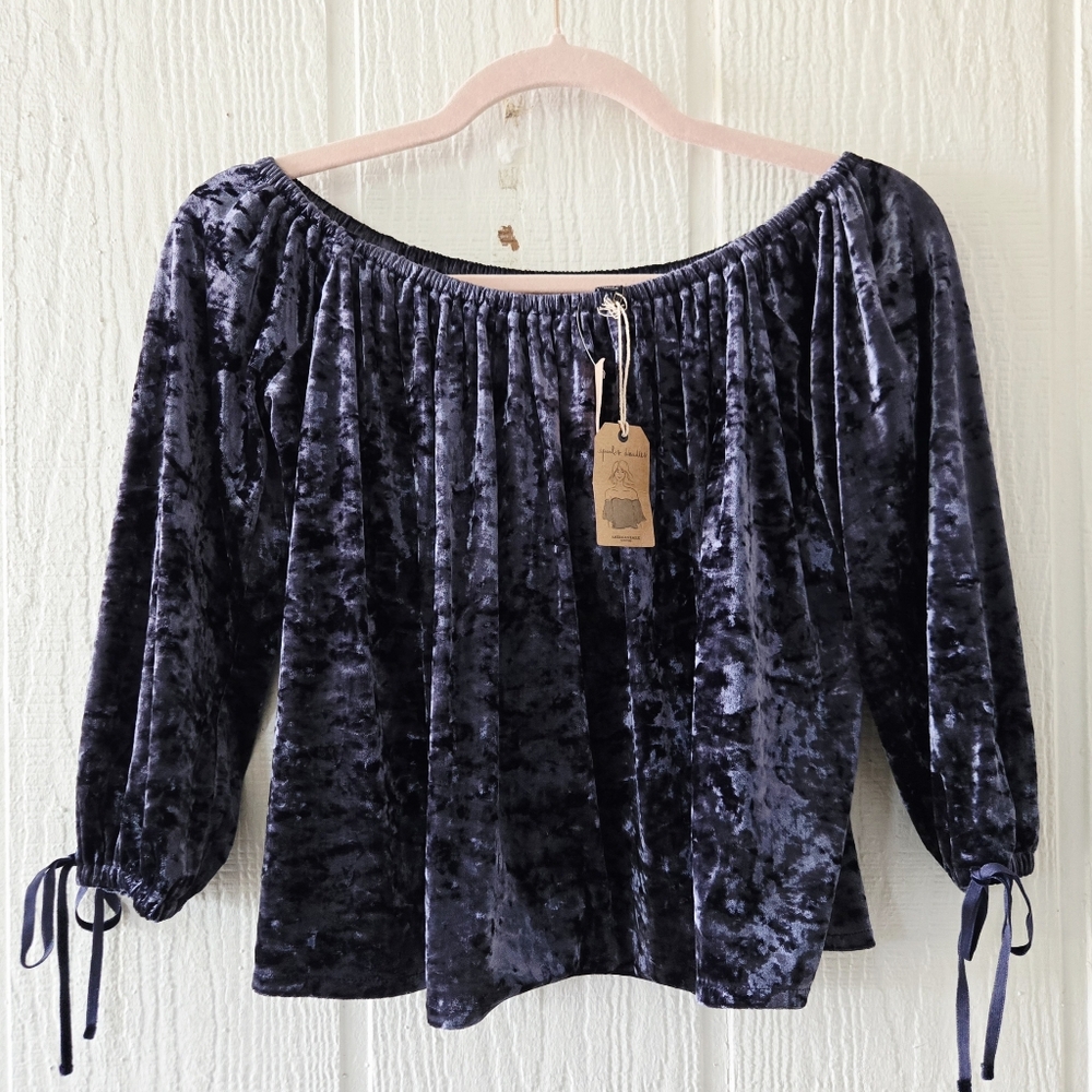 American Eagle Outfitters Blue Crushed Velvet Off The Shoulder Peasant Top XS